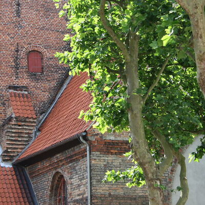 Auenansicht der St.-Nicolai-Kirche